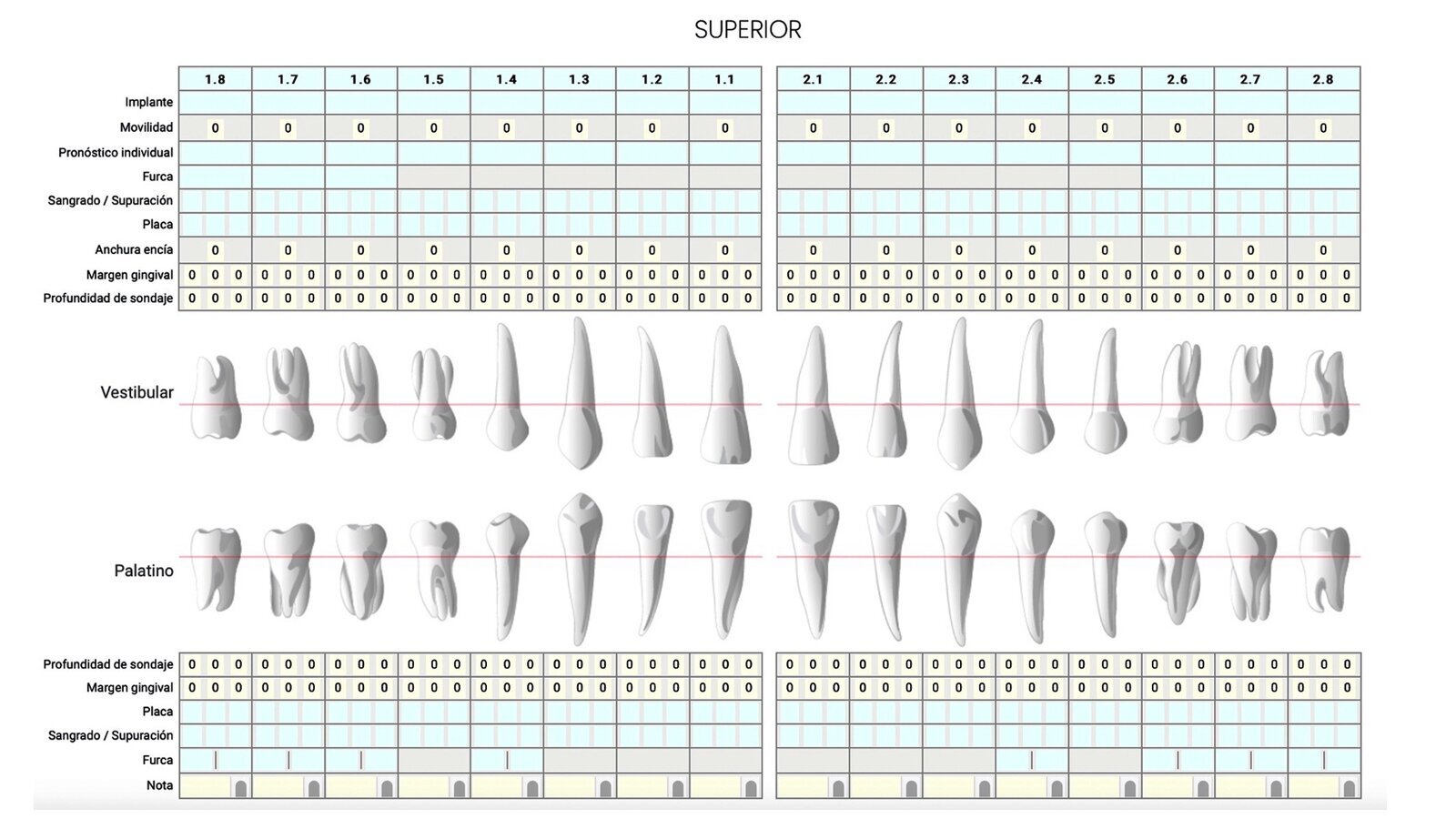 Un periodontograma para prevenir enfermedades de las encías
