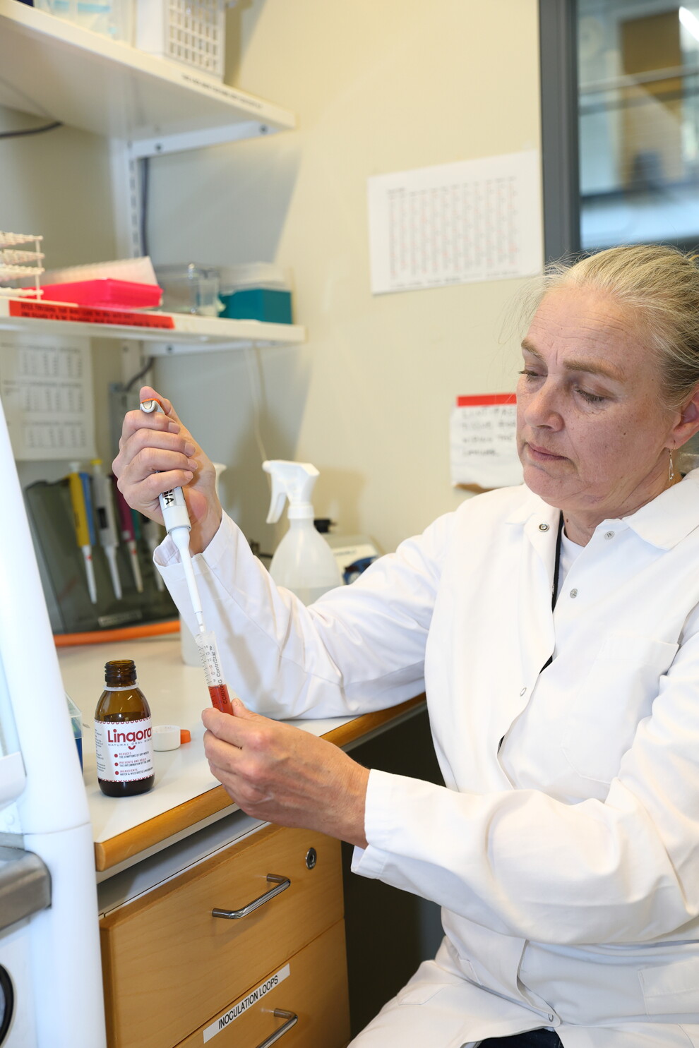 Die finnische Zahnärztin Dr. Pirjo Pärnänen, außerordentliche Professorin für orale Mikrobiologie an der Universität Helsinki, forscht seit mehr als 15 Jahren zu fermentiertem Preiselbeersaft. 