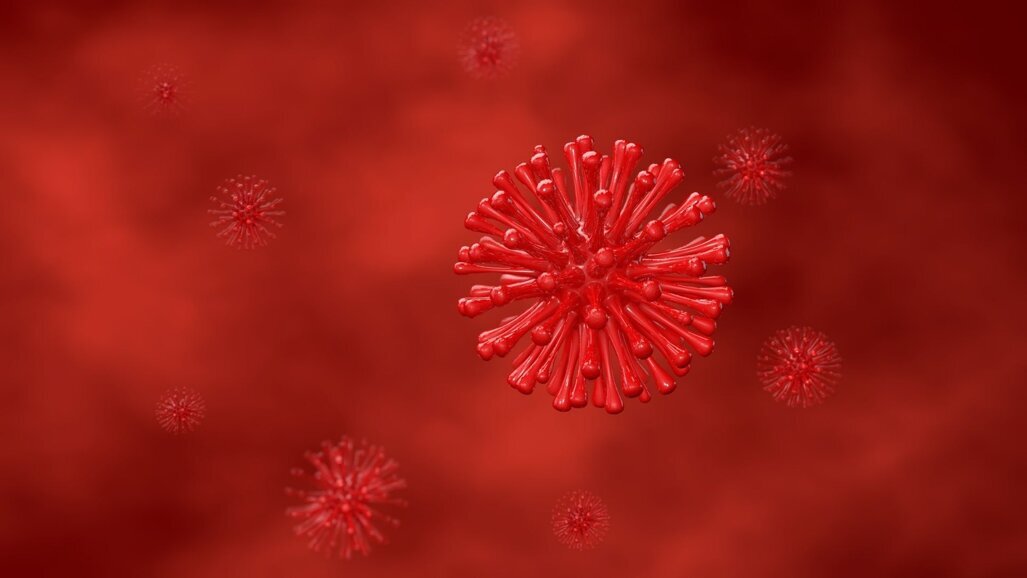 Your T-cells are recognizing Omicron