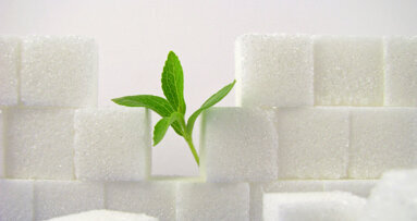 EU-Zulassung von Stevia?