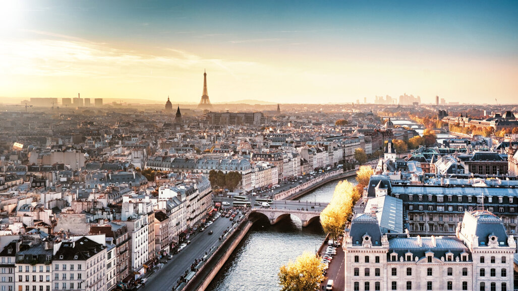 Société Odontologique de Paris: Le sinus de fond en comble