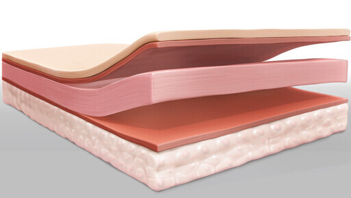 AmnioExcite placental membrane