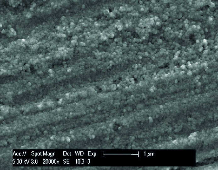 Fig. 10 c : Micrographies sous un grossissement de 20 000 fois montrant la présence de la pellicule sur les échantillons de titane (a) et d’email (c) servant de contrôle par rapport au titane rince avec HAP II (b) et a l’email rince avec HAP III (d). Deux heures après l’exposition buccale ont ces solutions, les images prises sous plus fort grossissement permettent d’observer les structures de connexion entre la solution de HAP II et la surface en titane (b) et entre la solution de HAP III et la surface de l’email (d). Les HAP sont en contact direct avec des structures globulaires de la pellicule exogène acquise. Les flèches indiquent les ponts