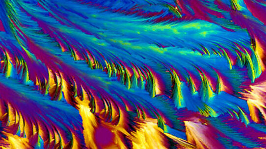 Breakthrough in tooth-tissue engineering announced