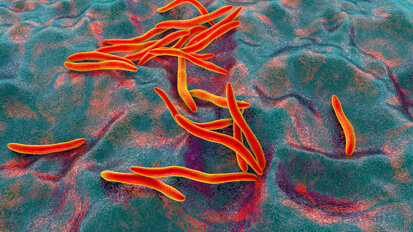 Study links oral bacterium to breast cancer initiation and progression