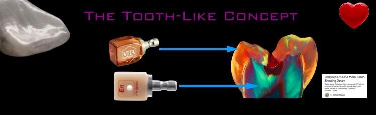 Fig. 7_La progettazione in multistrato consente l’uso di diversi materiali in combinazione. Tenacità e durezza si combinano per mimare la natura.