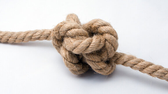 IG Phytotherapie und SVKH bündeln Kräfte