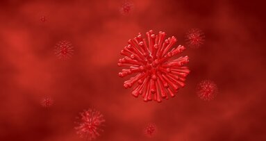 Your T-cells are recognizing Omicron