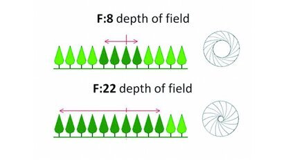 Photographie numérique dentaire – Part. I Réglages de votre appareil photo et des systèmes d’éclairage