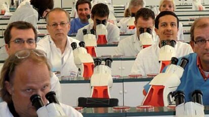 Masterstudiengang für Endo angeboten Masterstudiengang für Endo angeboten