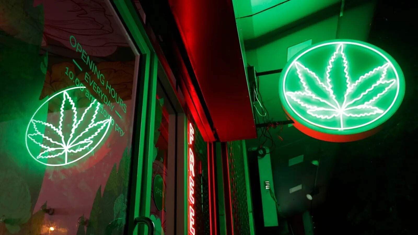 PÅestoÅ¾e je konopÃ­ v nÄkterÃ½ch zemÃ­ch legÃ¡lnÄ a spoleÄensky akceptovÃ¡no, jeho vyuÅ¾itÃ­ ve stomatologii je zatÃ­m mÃ¡lo prozkoumanÃ©. (Obr.: Nelson Antoine/Shutterstock.)