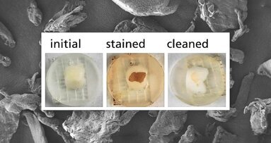 Researchers develop environmentally friendly alternatives to microplastics