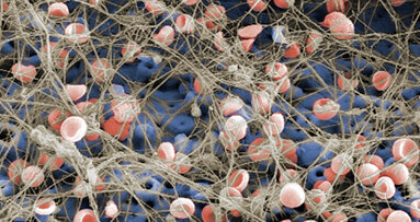 TiUnite:  in armonia con Madre Natura