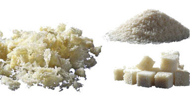 Biological allograft products applied to dentistry