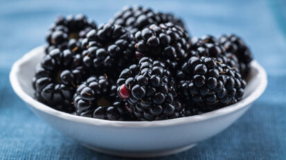 Bramen effectief tegen orale bacteriën