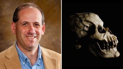 Nova pesquisa confirma relação entre desgaste dos dentes e dieta em fósseis