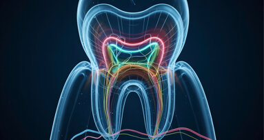 Natural zinc concentration in dentine mapped across entire teeth