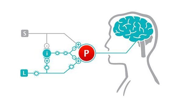 Stop hurting your patients! Deliver the “WOW experience” and watch your practice grow