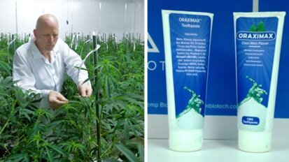 Novo creme dental com canabigerol será introduzido este ano