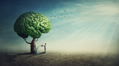 New studies link oral health to cerebrovascular health