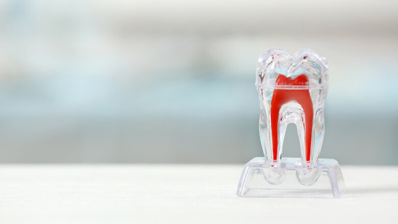 Une nouvelle méthode pour contrôler le développement des racines dentaires