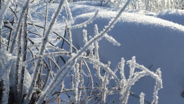 W czasie mrozów, tak jak latem, pijmy więcej płynów