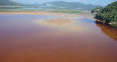 Los riesgos del mercurio para la salud