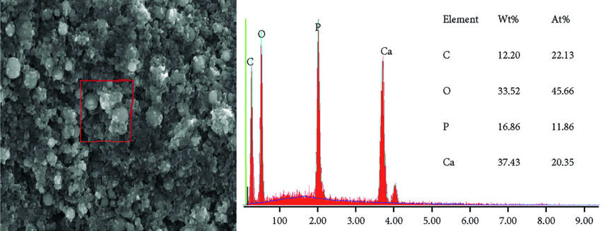 Fig 4c : Analyse EDS sous un grossissement de 5 000 fois (c) de la poudre de HAP III au contact d’une solution aqueuse. Les particules individuelles peuvent être facilement discernées