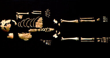 Αρχαία οδοντοστοιχία ρίχνει φως στην ανθρώπινη εξέλιξη