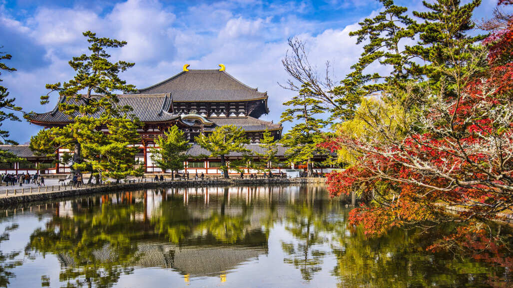 5th Annual Meeting of the IADDM