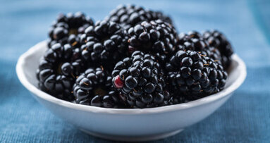 L’extrait de mûre, un nouveau traitement antibactérien ?