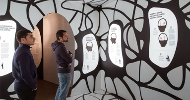 Zähneklappern & Co.: Ausstellung zum Thema Angst