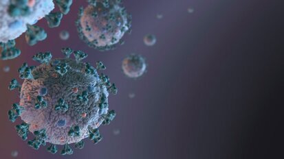 Intervista del dr. Francesco Riva consigliere del CNEL al prof. Vittorio Colizzi