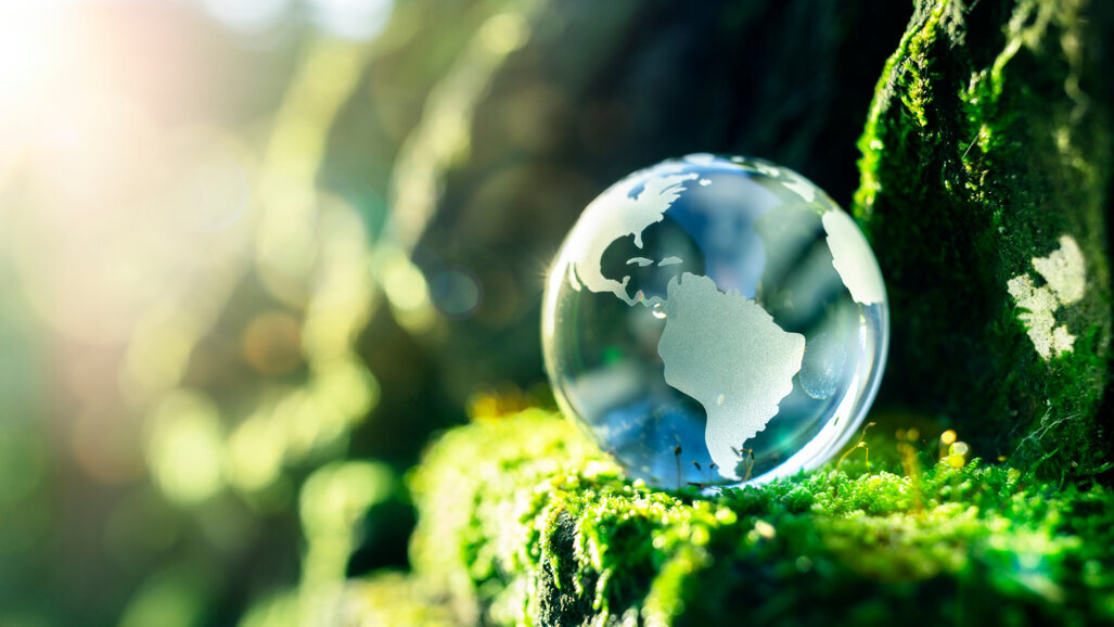 Interview: “I hope that sustainable dentistry will soon reach critical mass and become the norm”