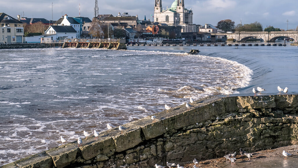 IDHA Annual Winter Scientific Conference 2018