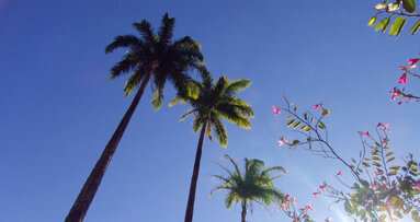 PCSO offers ‘Cutting-Edge Orthodontics at a Desert Retreat’