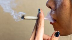Научните данни показват как употребата на канабис влияе върху здравето на устната кухина