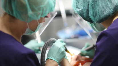 Experts say simpler dental surgeries should be conducted locally