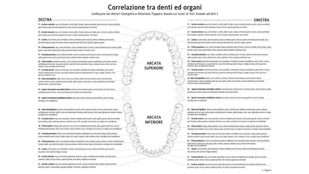 Intossicazione da amalgama con mercurio Rilevazione e rimozione sicura