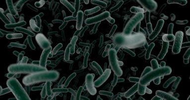 Una sostanza anticarie per sconfiggere definitivamente lo Streptococco mutans