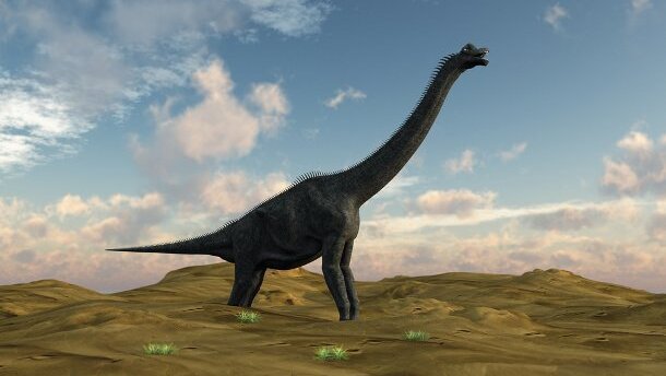 Il est possible de mesurer la température des dinosaures grâce à leurs dents