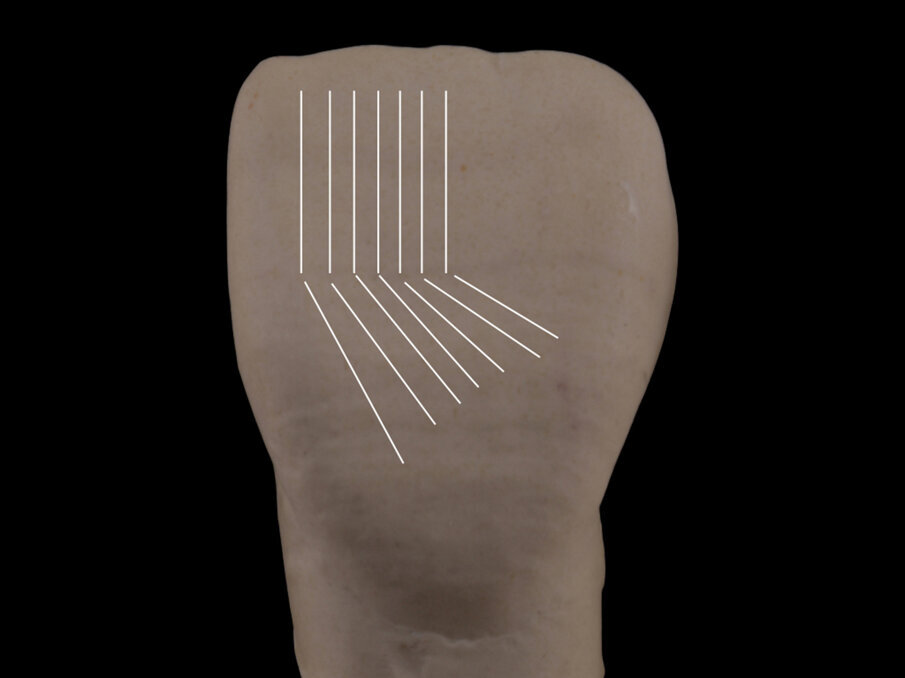 Fig. 10: Combination of vertical and oblique lines: their different positions and design direction change the visual illusion.