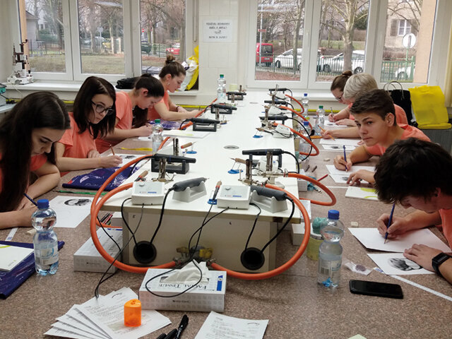 1. část - kresba premoláru