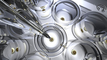 Melanom-förderndes Gen entdeckt Melanom-förderndes Gen entdeckt