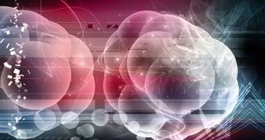 Kieferknochen aus Stammzellen geschaffen