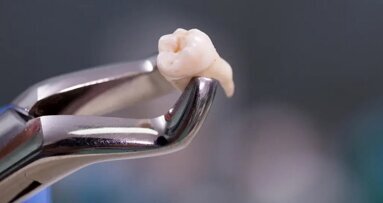 Molekuly na bázi makrolidů podporují regeneraci kostí Molekuly na bázi makrolidů podporují regeneraci kostí