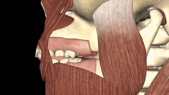 TMJ disorder and orthodontics