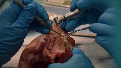 Dr Torsello shows the attendees how to use the clinical instruments. (Photograph: Franziska Beier, DTI)