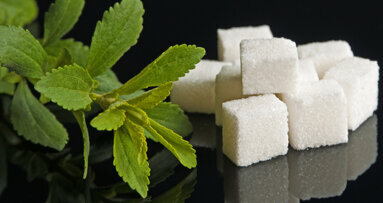 Stevia könnte als Nahrungsmittel zugelassen werden