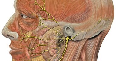 Tandheelkundige apparaten bieden hoop op gezichtsherstel